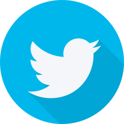 Twitter Profile Widget Plugin For WordPress