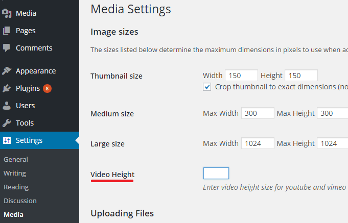 wordpress video widget option